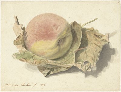 Persika på två blad av Pieter van der Meulen