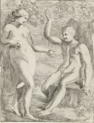 Fallet av Pieter van der Plas (II)