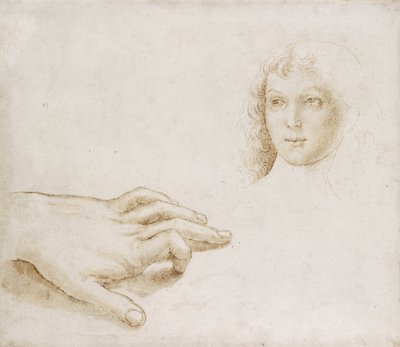 Studier av ett huvud och en hand (penna och pensel i ljusbrunt bläck över metallspets på vitt papper) av Pietro (circle of) Perugino