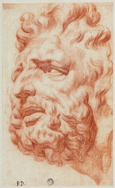 Laokoons huvud av Pietro Dandini