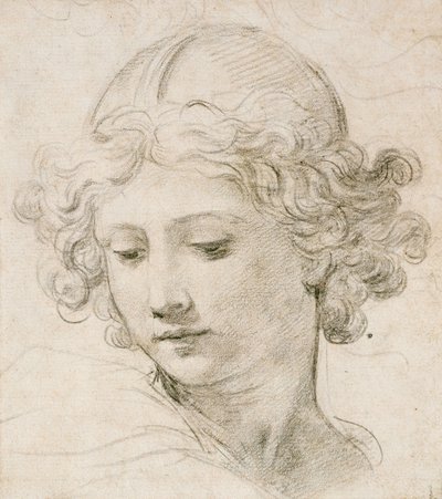 Huvudet på en ängel, tittar ner till vänster av Pietro da Cortona