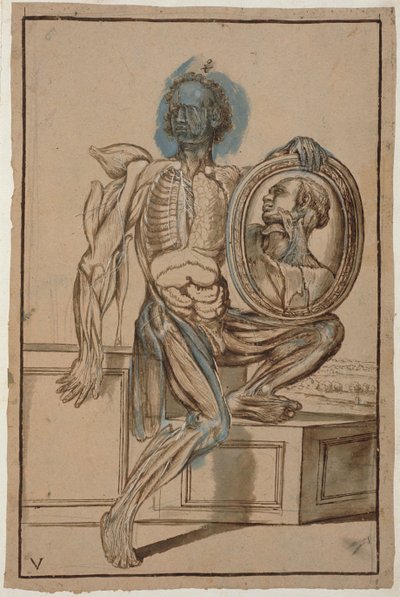 Ms Hunter 653 Plate V Anatomical Drawing, c.1610 (penna och krita på papper) av Pietro da Cortona