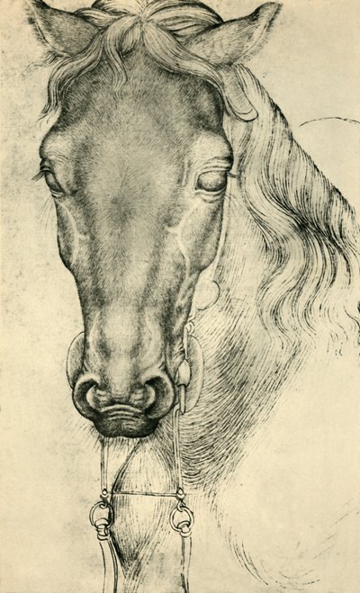 Huvud för en häst, c1420-1455, 1943. av Antonio Pisanello