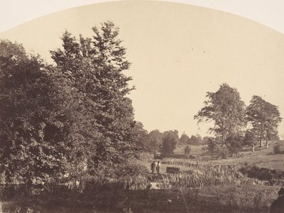 The Woodland Stream, 1856. av Plunket