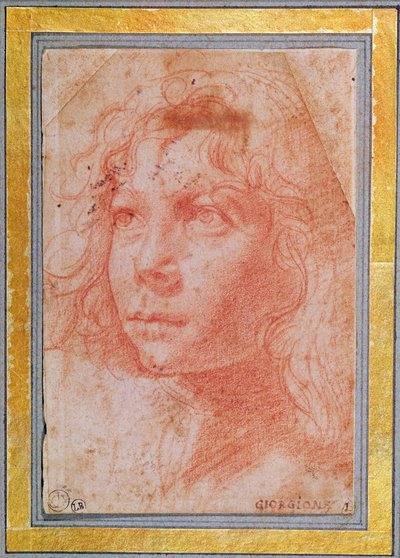 Huvudet på en ung pojke vänt till vänster (röd krita på papper) av Polidoro da Caravaggio