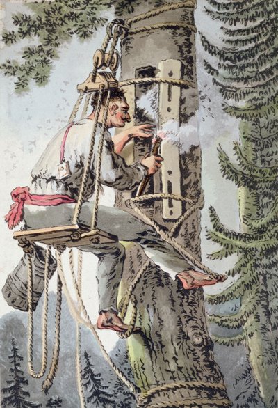 Bonde i Podlaskie-provinsen i Polen samlar honung, tidigt 1800-tal (färg litho) av Polish School
