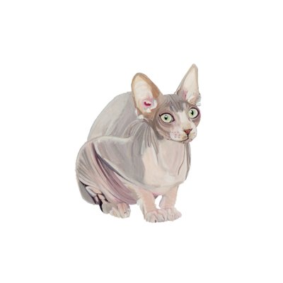 Sphynx, 2014 (akvarell  gouache på papper) av Polly Horner