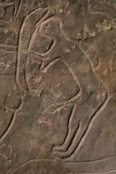Människofigur och tjurhuvud (hällristning) av Prehistoric