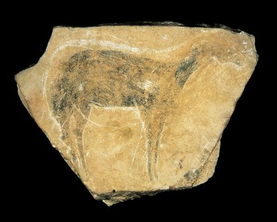 Black Doe, Parpallo Cave, Spanien, övre paleolitikum (målning) av Prehistoric Prehistoric