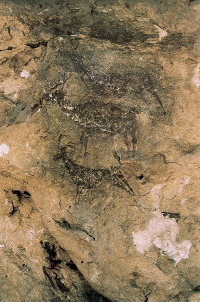 Mesolitisk stenkonst: Hjortar och getter (8000-7000 f.Kr.), Spanien, Bicorp, La Arana-grottan (målning) av Prehistoric Prehistoric