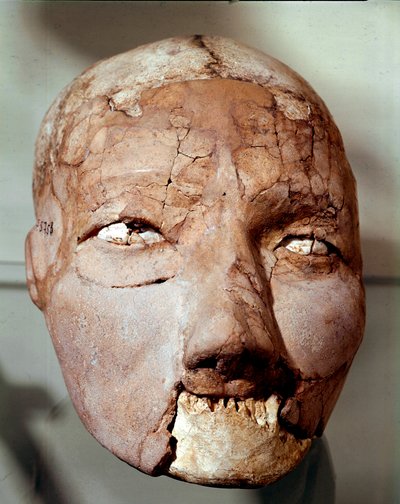 Neolitisk konst: mänsklig skalle från stenåldern (6000-4000 f.Kr.). Från Jeriko, arkeologiska museet, Amman, Jordanien av Prehistoric Prehistoric