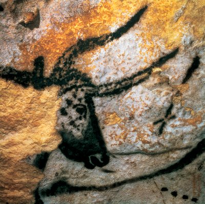Parietalmålning föreställande en uroxa (utdöd bovid), Bulls Room, Lascaux-grottan, Montignac, Dordogne, Frankrike, Paleolithic Magdalenian period (målning) av Prehistoric Prehistoric