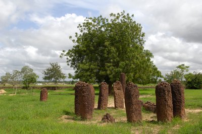 Förhistoria: Megalitisk cirkel av stenar från Wassu, Gambia (foto) av Prehistoric Prehistoric