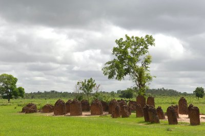 Förhistoria: Megalitisk cirkel av stenar från Wassu, Gambia (foto) av Prehistoric Prehistoric