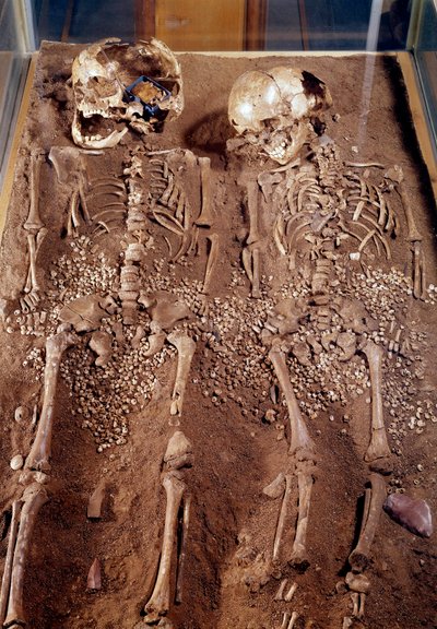 Förhistoria: Skelett av två barn. 30000-25000 f.Kr. Från Grimaldi-grottan. Saint Germain en Laye, Museum of National Archaeology av Prehistoric Prehistoric