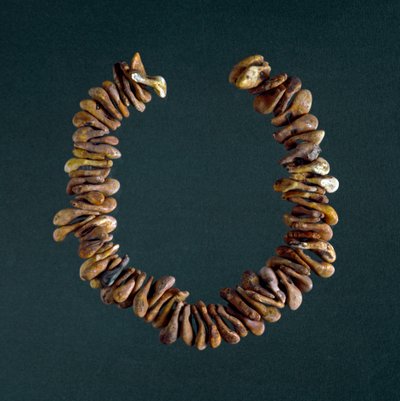 Förhistoria, stenåldern: halsband av ben från grottan i Polesine, Veneto. Rom, Luigi Pigorini Nationalmuseum för förhistorisk etnografi av Prehistoric Prehistoric