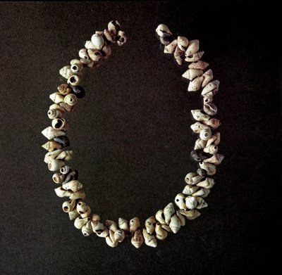 Förhistoria, stenålder: halsband av snäckor från grottan i Polesine, Venetie. Genomsnittlig neolitikum. Rom, Luigi Pigorini Nationalmuseum för förhistorisk etnografi av Prehistoric Prehistoric