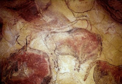 Förhistoria: "" bison i vila"" hällmålning av övre paleolitikum (magdalenska) (mellan 16500 och 14000 år sedan) stenålderns bisongrotta, Altamira, Santander, Spanien av Prehistoric Prehistoric