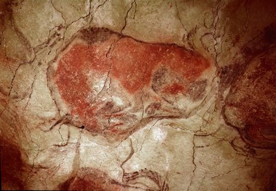 Förhistoria: "" bison i vila"" hällmålning av övre paleoloitikum (magdalenska) (mellan 16500 och 14000 år sedan) Stenålderns bisongrotta, Altamira, Santander, Spanien - Förhistoria: bison i vila. hällmålning, övre paleolitikum (magdalensk) (mellan 1 av Prehistoric Prehistoric