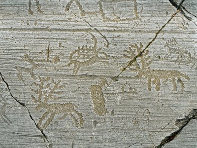 Förhistoria, civilisationen av Camunni, klippkonst: gravsten av representationen av rådjur. Period mellan yngre stenåldern och bronsåldern. Sten. 1. Capo di Ponte, Naquane Rock Carvings National Park, Valcamonica, Val Camonica, Italien av Prehistoric Prehistoric
