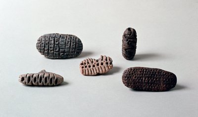Förhistoria: olika pintaderas (sälar) av neolitisk terrakotta från Caverna Delle Arene till Candide (Ligurien). Pegli, Villa Pallavicini-museet av Prehistoric Prehistoric