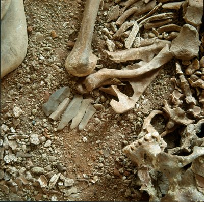 Förhistoria: dubbel begravning av vuxna och barn. Detaljvy av begravningsbyxan från Candid Arene Cave (Finale Liguria), Liguria. Mesolitikum, 7000-6000 f.Kr. Gener, museo di archeologia ligure av Prehistoric Prehistoric