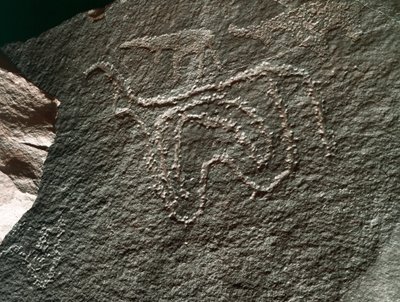 Förhistoria, klippkonst: en allvarlig klippa av representation av en boskap. Tazina stil. Stenåldern 5000-2000 f.Kr. Taghit, Haut plateau du Hoggar (Ahaggar), Algeriet av Prehistoric Prehistoric