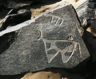 Förhistoria, klippkonst: en allvarlig klippa av representation av en boskap. Tazina stil. Stenåldern 5000-2000 f.Kr. Taghit, Haut plateau du Hoggar (Ahaggar), Algeriet av Prehistoric Prehistoric