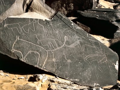 Förhistoria, hällkonst: gravsten som föreställer lejon, antiloper, struts och boskap. Stenåldern 5000-2000 f.Kr. Taghit, Haut plateau du Hoggar, Algeriet av Prehistoric Prehistoric