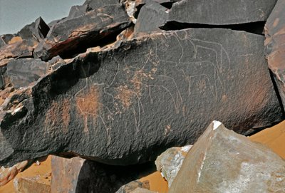Förhistoria, hällkonst: gravsten av representationen av boskap. Tazina stil. Stenåldern 5000-2000 f.Kr. Taghit, Haut plateau du Hoggar (Ahaggar), Algeriet av Prehistoric Prehistoric