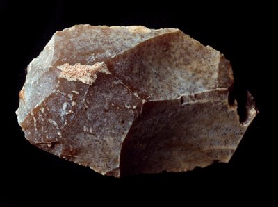 Förhistoria: huggen på stenskrapa. Övre paleolitikum, Magdalena. Verone, Civic Museum of Natural History, Italien av Prehistoric Prehistoric