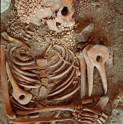 Förhistoria: skelett och begravningsbyxa av tonåringar sägs om den unge prinsen från Arene Candides grotta (Finale Ligure): halsband av snäckor, rådjurshorn och flinta. Stenåldern, övre paleolitikum. Genes, Museo di archeologia Ligure av Prehistoric Prehistoric