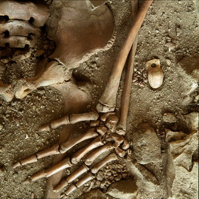 Förhistoria: tonårsgrav. Detaljvy av begravningsbyxan från Candid Arene-grottan (Finale Ligure), Ligurien. Övre paleolitikum, 24000 f.Kr. Gener, museo di archeologia ligure av Prehistoric Prehistoric