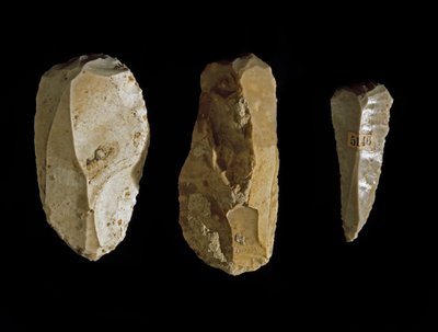 Förhistoria: olika flintredskap. Mesolitikums tid. Från Umbrien. Perugia, Umbriens arkeologiska museum av Prehistoric Prehistoric