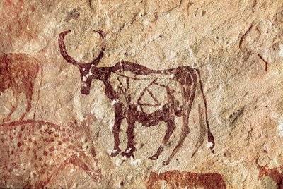 Hällmålning: representation av en hjortvilt. Grottan av Tadrart Acacus Libyen av Prehistoric Prehistoric