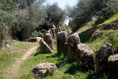 Den arkeologiska platsen för cromlech M Zora, i Sidi El Yamani (Marocko). Neolitisk gravhög (2000 f.Kr.), omgiven av 167 monoliter. av Prehistoric Prehistoric