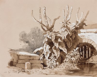 Studie av växter vid ett dike, med tillägg av en instruktör, 1856 (penna, sepia tvättar och gouache på papper) av Prince Gaetano Maria Federico di Borbone