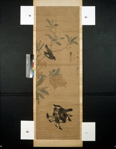 Fåglar och gren av Qing Dynasty Chinese School