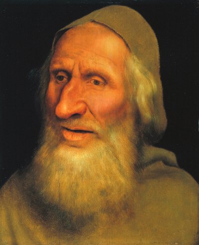 Head of an Old Man, ca 1525 (olja på panel) av Quentin Massys or Metsys