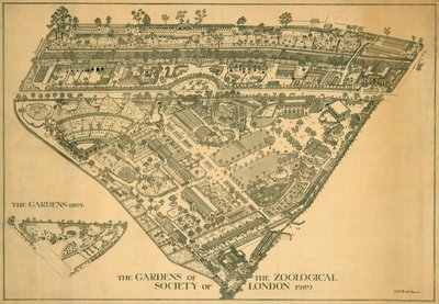 London Zoo, Regents Park, Westminster, 1929 av RB Brook Greaves
