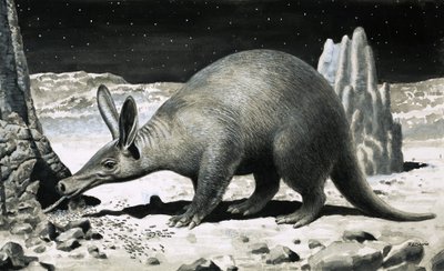 Aardvark av R.B. Davis