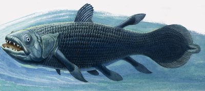 Coelacanth av R.B. Davis