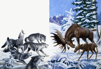 Naturens rike: De åt sig till svält av R.B. Davis