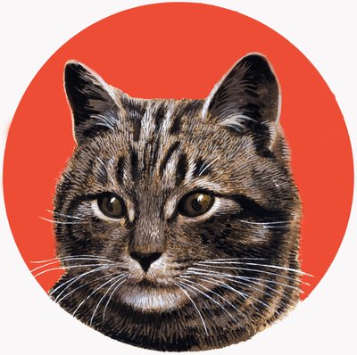 Tabby Cat, från "Treasure av R.B. Davis
