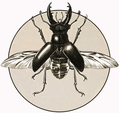 Hjortskalbaggen av R.B. Davis