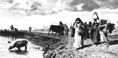En Chaussee i deltat, vid tidpunkten för översvämningen, 1880 av R. Brandamour