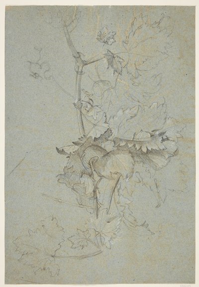 Växtstudie av Rachel Ruysch