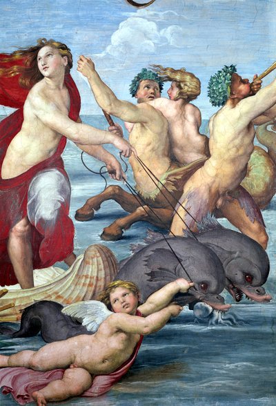 Galatea, detalj av sjömän och delfiner, 1506 freskdetalj av 56473 av Raffaello Sanzio Raphael
