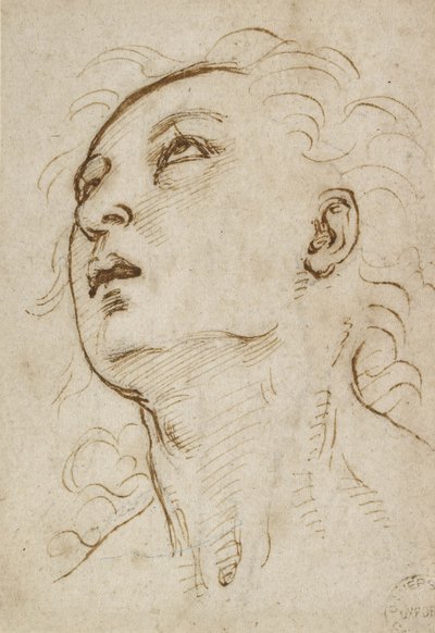 En ung mans huvud som tittar uppåt, ca 1497-1504 (penna och brunt bläck över metallspets på gräddpapper) av Raffaello Sanzio Raphael