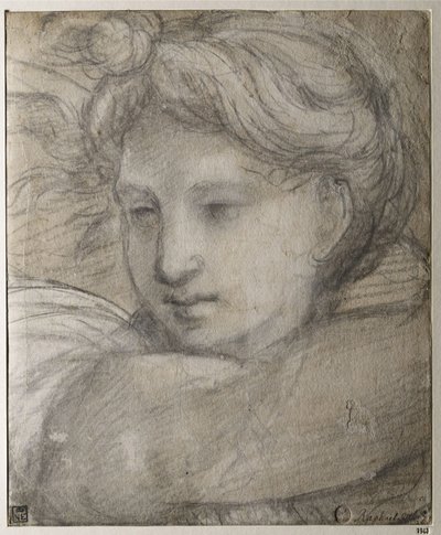 Chef för en ängel, ca. 1520 av Raffaello Sanzio Raphael